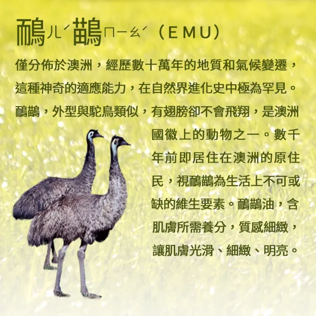 【Jollyard 潔麗雅】鴯苗鳥極潤潤膚霜(250ml*一瓶)