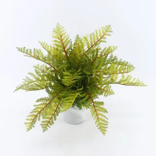 【HUGO DECO 榆果傢飾】高擬真蕨類小品盆栽(人造植栽/仿真植物/綠化/佈置)