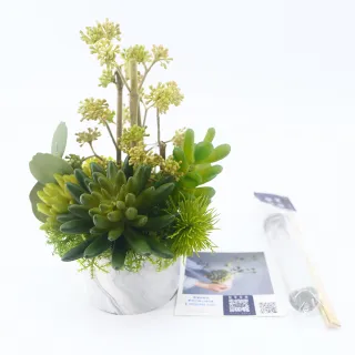 【HUGO DECO 榆果傢飾】果實枝多肉組合香氛植物(擬真植物/人造盆栽/綠化/佈置/禮物)