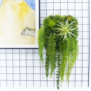 【HUGO DECO 榆果傢飾】森系空氣鳳梨蕨葉植生框(擬真植栽/擬真植物/遮電箱/居家佈置/壁面裝飾)