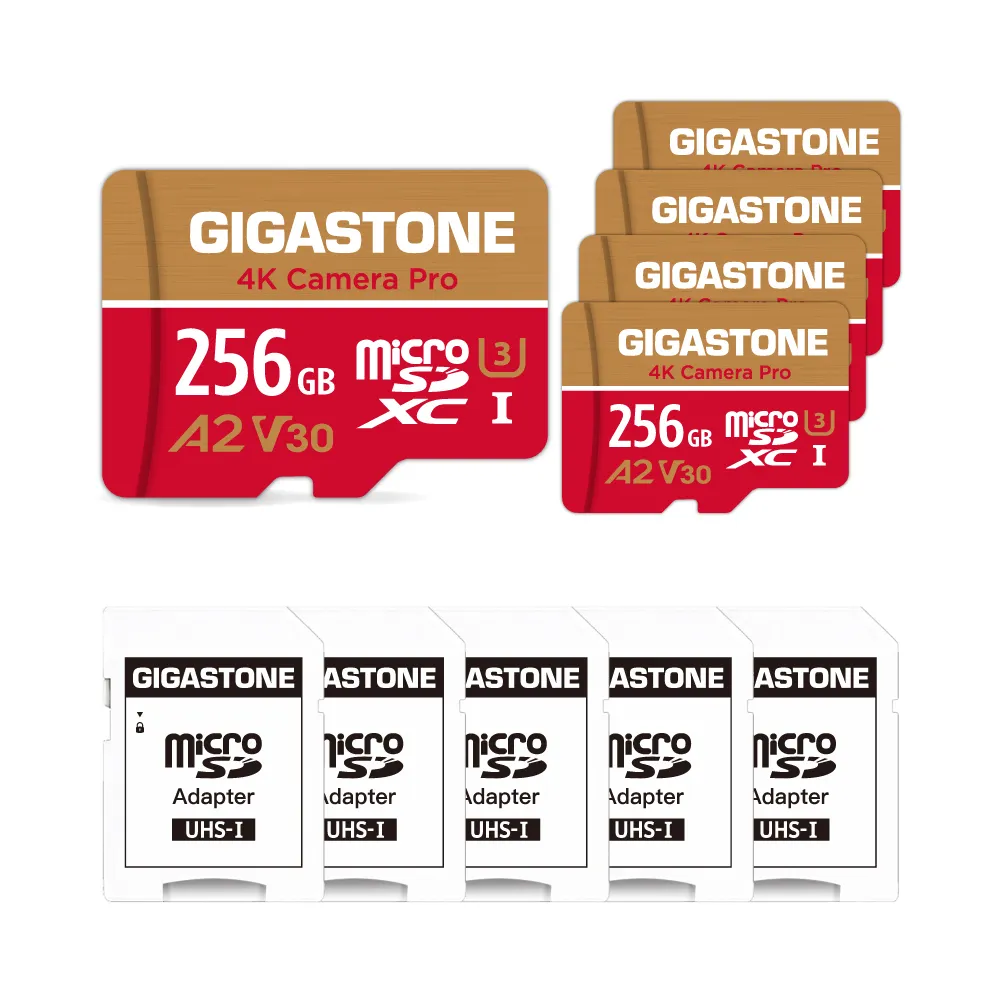 【Gigastone 立達國際】5入組 4K Camera Pro microSDXC UHS-Ⅰ U3 A2V30 256GB攝影高速記憶卡(GoPro/DJI)