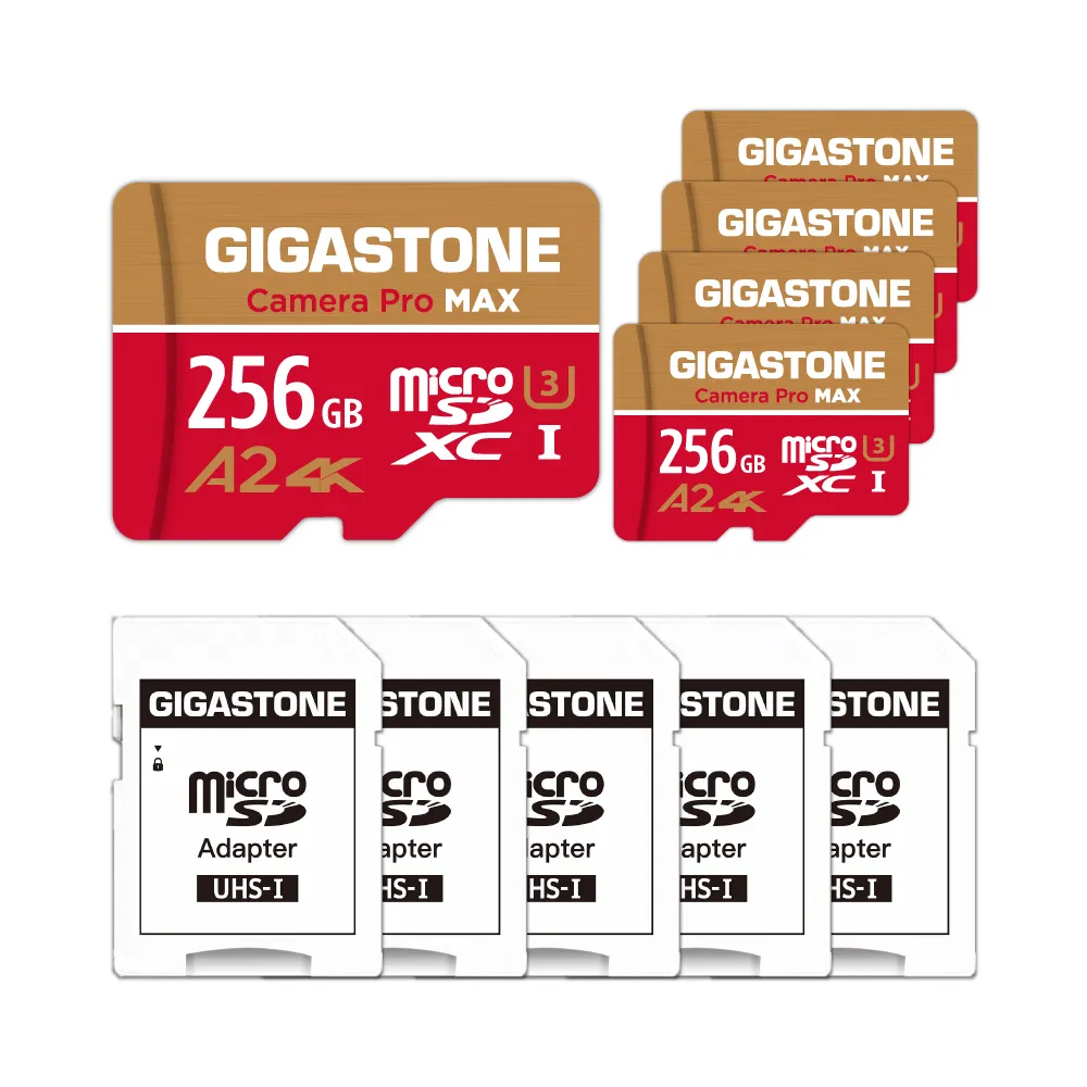 【GIGASTONE 立達】Camera Pro MAX microSDXC UHS-Ⅰ U3 A2 4K 256GB錄影監控記憶卡-5入組(網路攝影機)