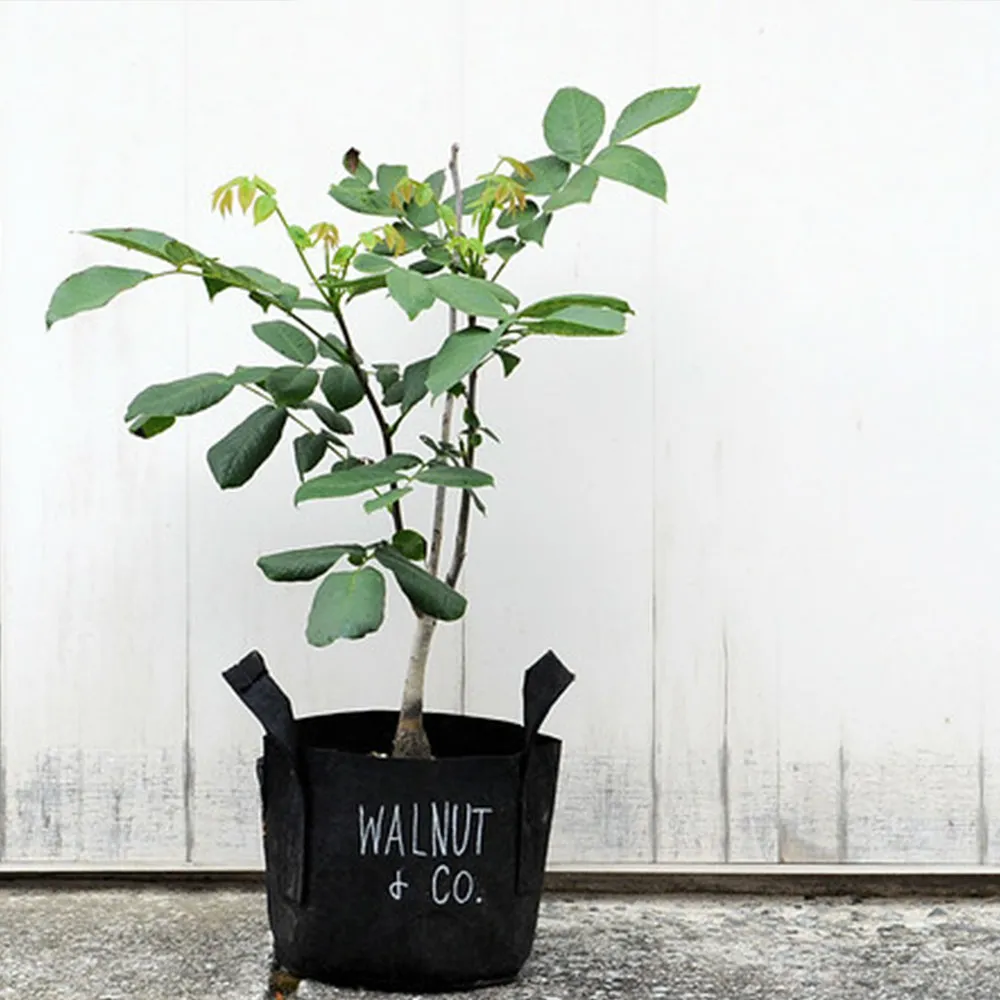 【Root Pouch】美植袋(W38cm H40cm/45L)