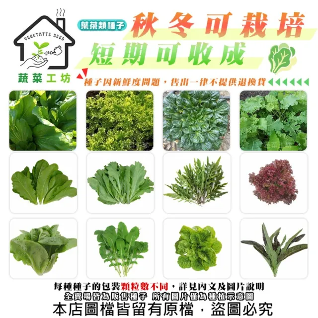 【蔬菜工坊】新手秋冬可栽培短期收成葉菜類種子系列(各包裝數量詳見內文及圖片)
