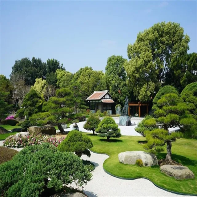 【好饗趣旅遊】嘉南阿里山3日遊★雙五星台南遊艇酒店+嘉義長榮文苑(指定出發★2026/10-2027/3月)