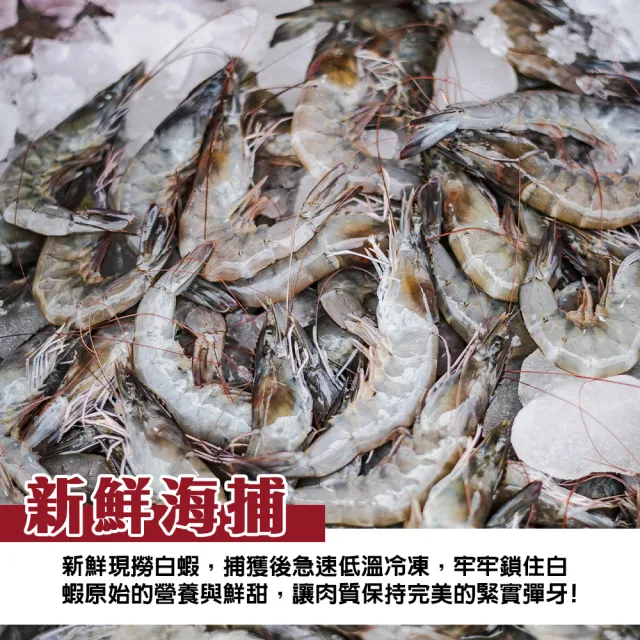 【三頓飯】野放活凍超大中南美洲馬白蝦 3盒組(600g/盒 約10-20尾/盒)