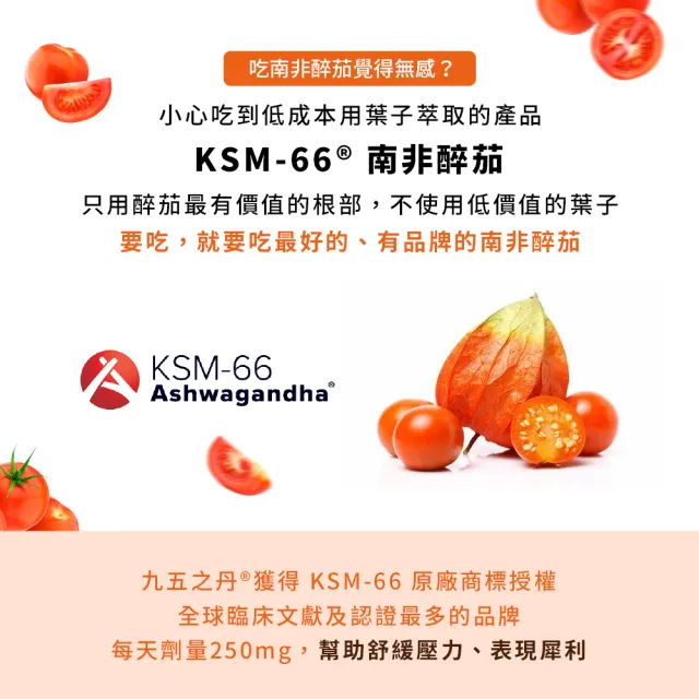【JIU WU DAN 九五之丹】連續二年世界品質評鑑銀獎南非醉茄+葫蘆巴 3入組共90粒(戰力釋放、幫助入睡)