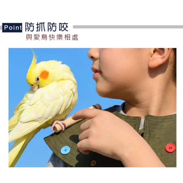 【Truly House】鸚鵡披風訓練墊 養鳥 遛鳥 鸚鵡 老鷹 手養鳥