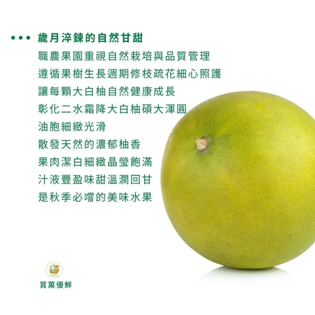 【賞菓優鮮】彰化二水霜降大白柚精美禮盒2盒(3-5粒/10斤X2盒)(八卦山麓50年老欉_產地鮮採直送)