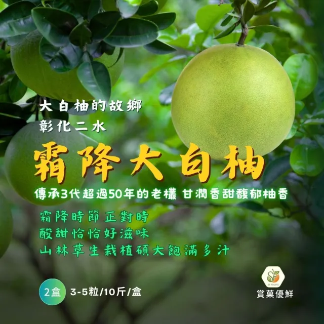 【賞菓優鮮】彰化二水霜降大白柚精美禮盒2盒(3-5粒/10斤X2盒)(八卦山麓50年老欉_產地鮮採直送)