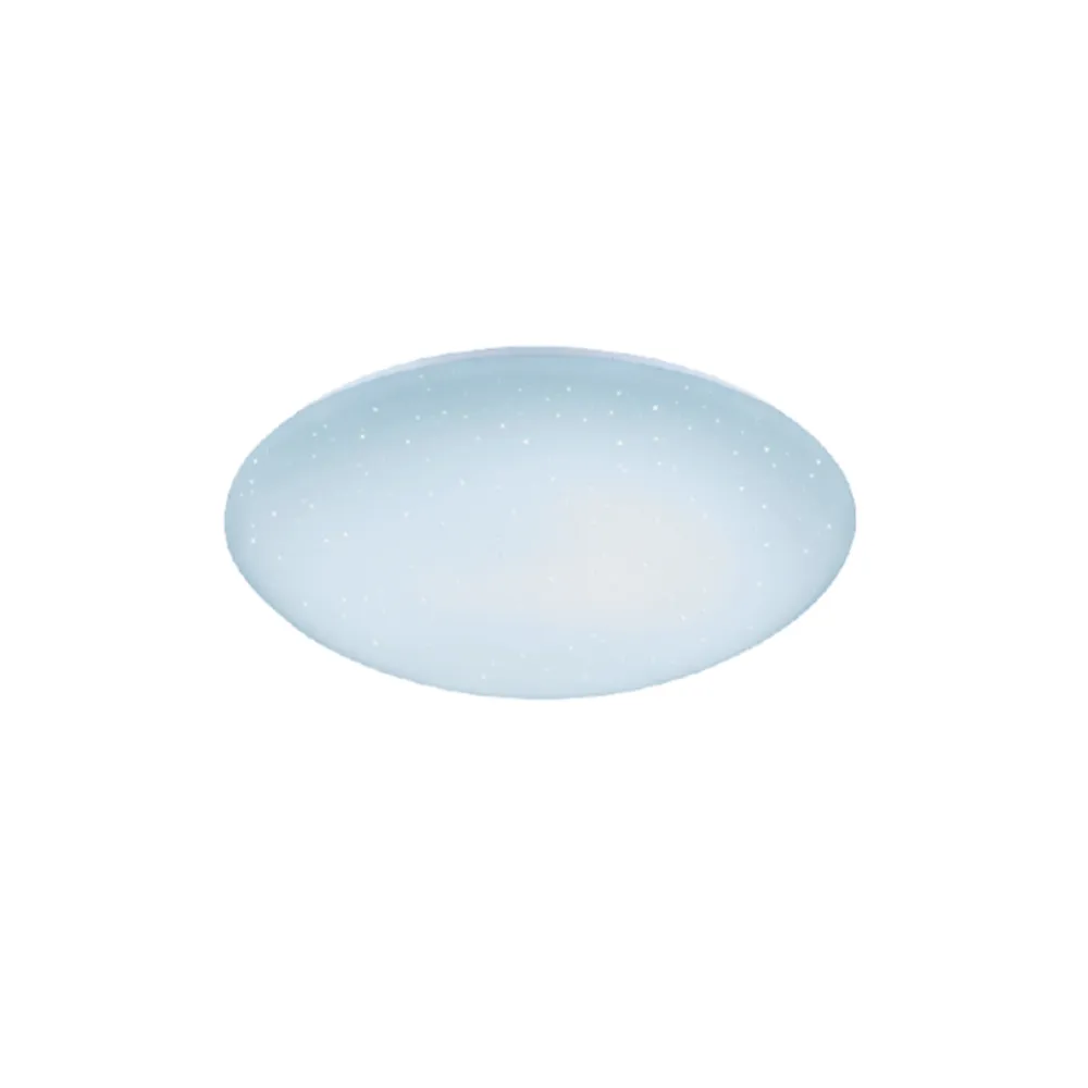 【DanceLight 舞光】30W 星鑽LED遙控吸頂燈 客廳臥室 調光調色 無段調光 LED吸頂燈 2-4坪