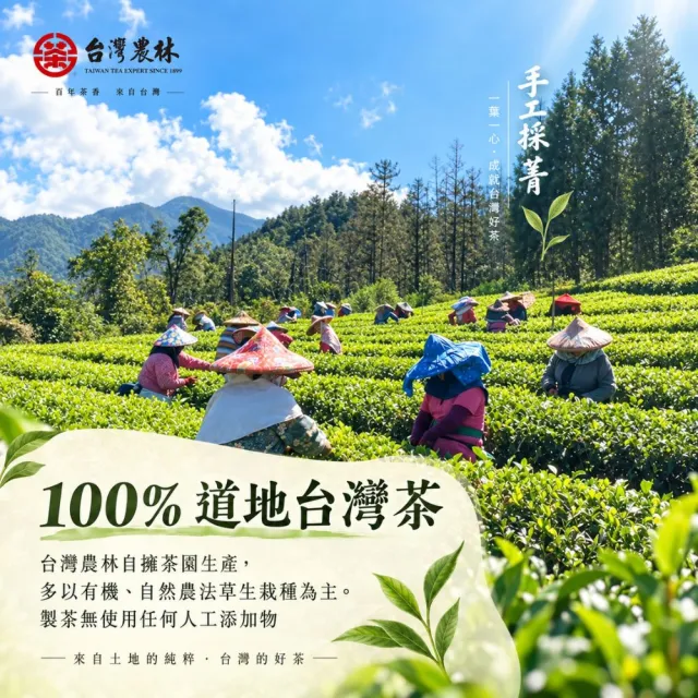 【台灣農林】官方直營 尚品紅玉紅茶台茶18號 日月老茶廠(茶包25入x3盒)