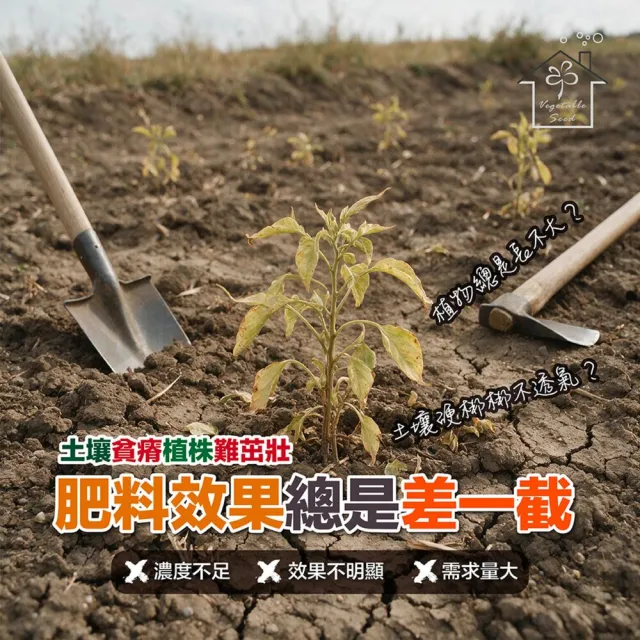 【蔬菜工坊】福壽牌洽發6號蔬果專用肥 20公斤｜雜項有機質肥料高