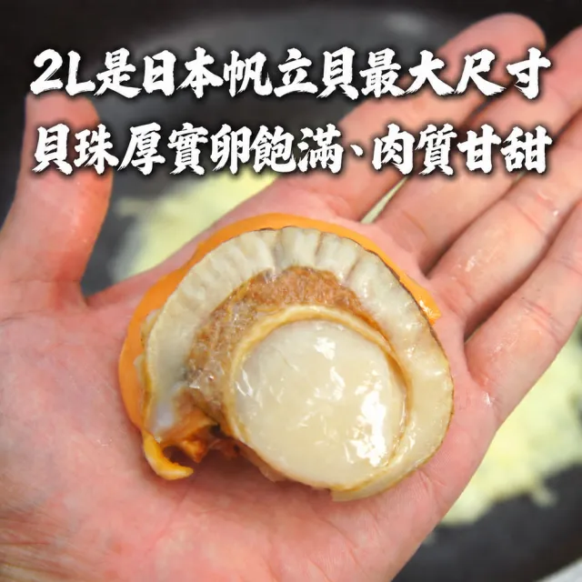 【優鮮配】(生食級)北海道帆立貝 X2包｜(800G/包)/特大2L