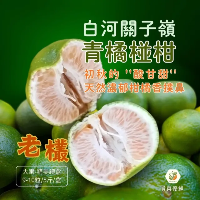 【賞菓優鮮】白河關子嶺老欉青橘椪柑精美大果禮盒1盒(9-10粒/5斤)(肉橘酸甜_皮青馨香_產地現採直送)