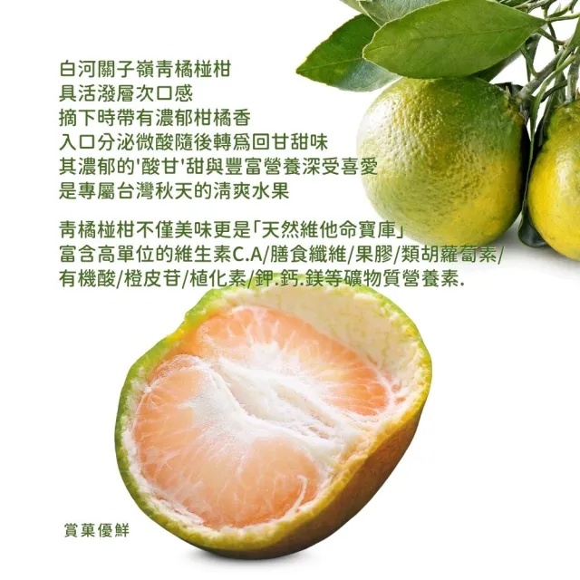 【賞菓優鮮】白河關子嶺老欉青橘椪柑精美大果禮盒2盒(9-10粒/5斤X2盒)(肉橘酸甜_皮青馨香_產地現採直送)