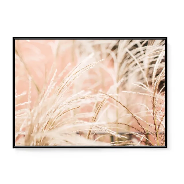 【菠蘿選畫所】風中搖曳 • 蘆葦 - 42x60cm(蘆葦草/秋季/芒花/粉色/掛畫/裝飾/臥室)