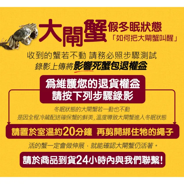 【築地一番鮮】公4兩大閘蟹5隻/贈工具組/江南大閘蟹