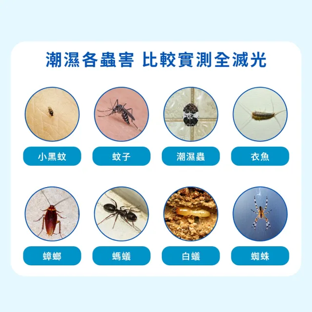 【福來朗】潮濕蟲噴霧 500ml｜衣魚｜鰹節蟲｜書蝨｜潮濕蟲｜潮濕空間｜除蟲噴霧