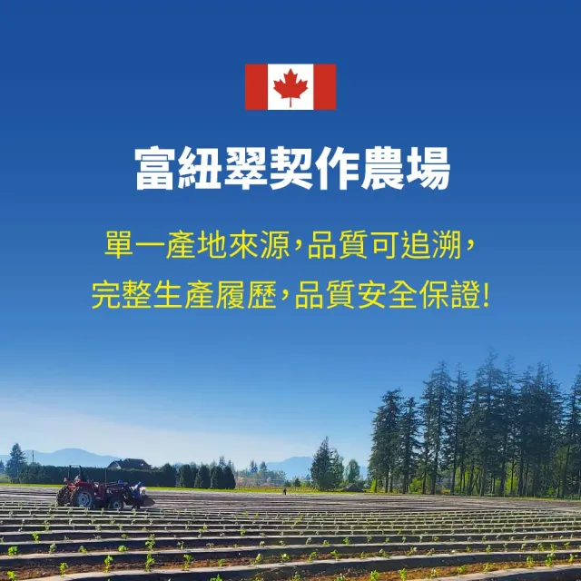 【Frenature 富紐翠】加拿大A級冷凍藍莓350gx6包(低溫宅配/無防腐/無添加/農藥 重金屬 A肝檢驗通過)