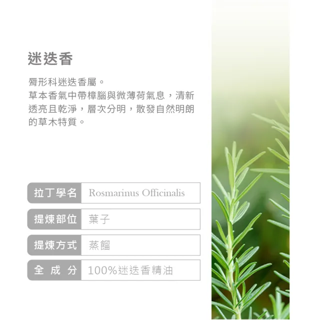 【ANDZEN】安得仁 澳洲單方純精油 迷迭香100ml+喜馬拉雅山雪松100ml+檸檬30ml(清香香氣+層次木香)