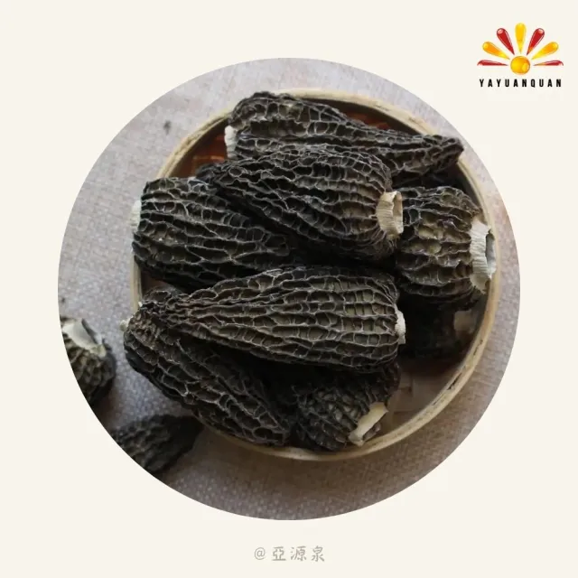 亞柏林 特級菌菇 羊肚菌菇 50g/包 20包組(贈亞源泉系列商品2包)