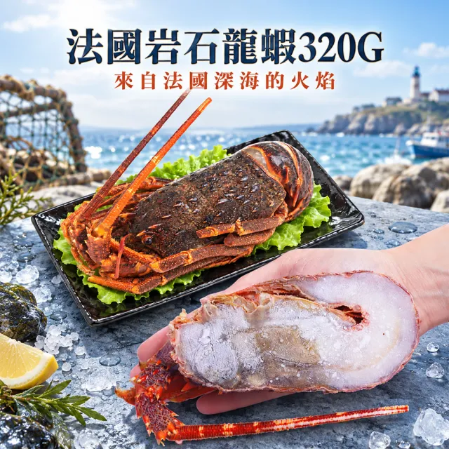 【築地一番鮮】法國岩石龍蝦X5尾(約320g/尾)/船凍/火焰紅龍蝦、岩龍蝦