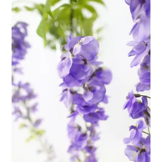 【HUGO DECO 榆果傢飾】特級擬真大號紫藤花 單枝花材 (進口特級擬真花材)