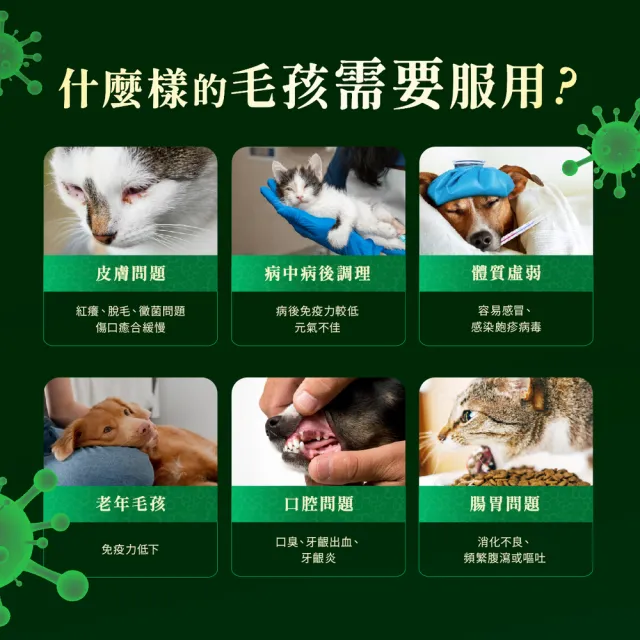 【Jadever】NMN命研鉑金萃x3入 30顆/盒(NAD+/五色靈芝/貓狗免疫力保健/貓狗呼吸道健康/寵物保健)