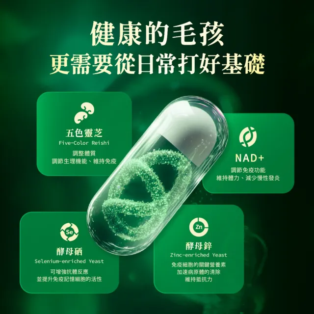 【Jadever】NMN命研鉑金萃x3入 30顆/盒(NAD+/五色靈芝/貓狗免疫力保健/貓狗呼吸道健康/寵物保健)