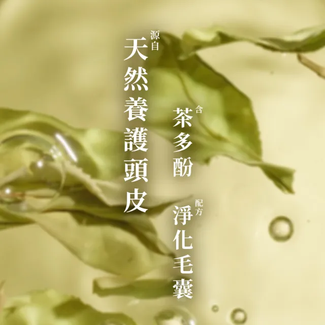 【Hair Recipe】髮的食譜 嘗鮮單瓶組 全新! 洗髮精/潤髮乳510g(控油x防斷x強韌)