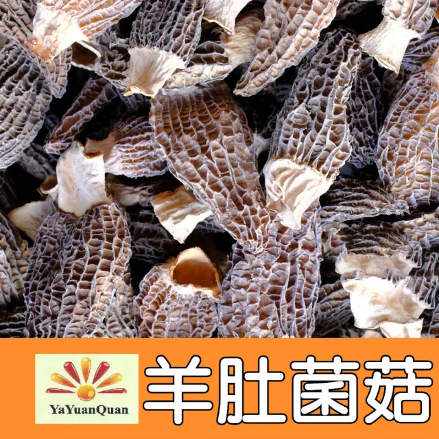 【亞源泉】羊肚菌菇 50g/包 羊肚菌 特級菌菇 3入組(贈亞源泉系列商品1包)