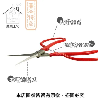 【蔬菜工坊】越路K-14間引鋏.採果剪日本製Kashiji果實剪 芽切剪 修枝