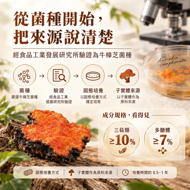 【永信藥品】高濃縮子實牛樟芝膠囊(每瓶60粒/多醣體/三萜類/4倍濃縮精華/子實體萃取/熬夜/應酬/上班族)