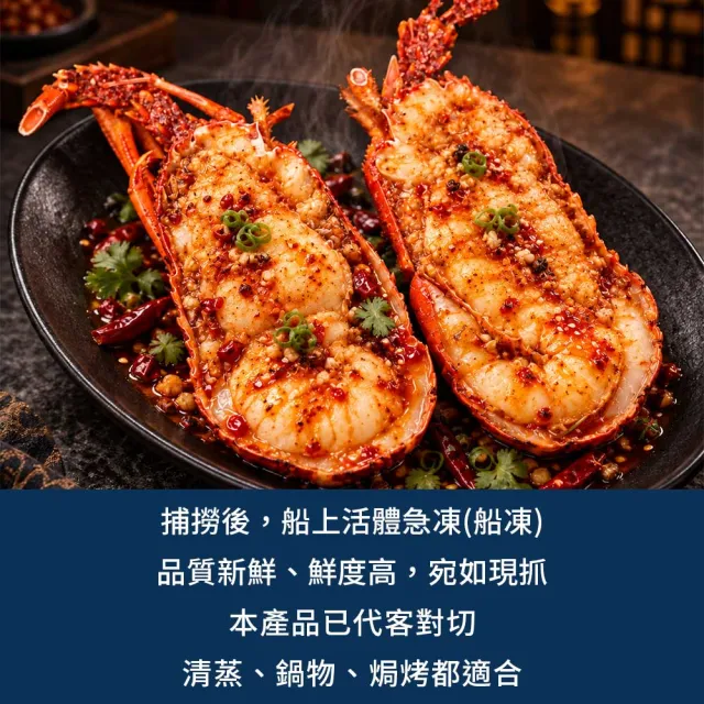 【優鮮配】法國岩石龍蝦X3尾(約320g/尾/船凍/火焰紅龍蝦、岩龍蝦