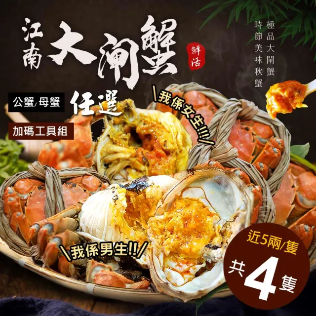 【優鮮配】(公母任選)近5兩大閘蟹 4隻組/贈工具組/江南大閘蟹
