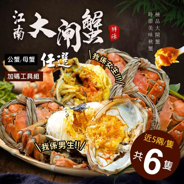 【優鮮配】(公母任選)近5兩大閘蟹 6隻組/贈工具組/江南大閘蟹