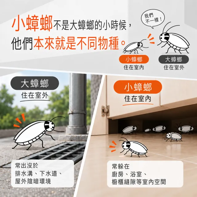 【福來朗】強效小蟑螂專用凝膠｜蟑螂誘餌｜小蟑螂｜蟑螂藥｜高效誘殺｜60天持效｜居家除蟑