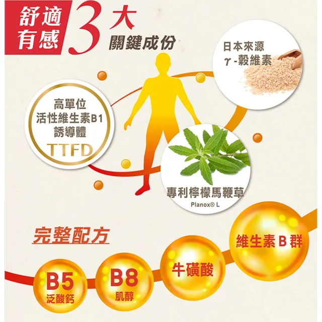 【台塑生醫醫之方】momo獨家長釋B群EX PLUS加強錠75錠x3瓶(共225錠李李仁代言)