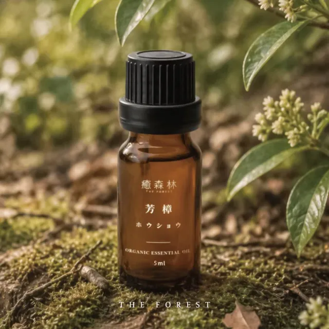 【The Forest 癒森林】芳樟天然精油5ml(擴香/薰香/單方精油/擴香石/居家香氛)