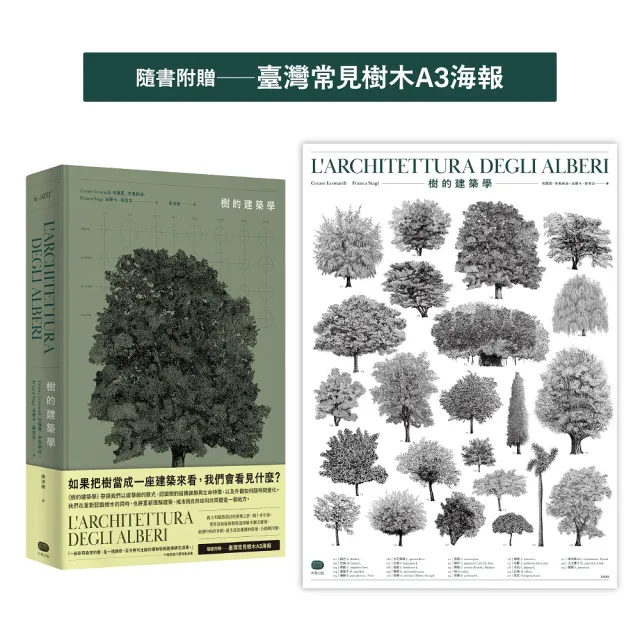 樹的建築學