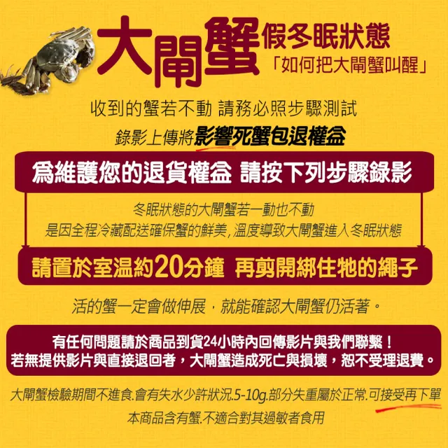 【優鮮配】(公母任選)近5兩大閘蟹 12隻組/贈工具組/江南大閘蟹