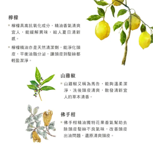【阿原】檸檬洗髮露-500mL(清潔同時保養)