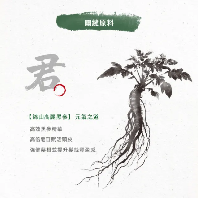 【阿原】人參豐盈養髮液50mL(強健髮根)(醫師好辣 節目推薦)