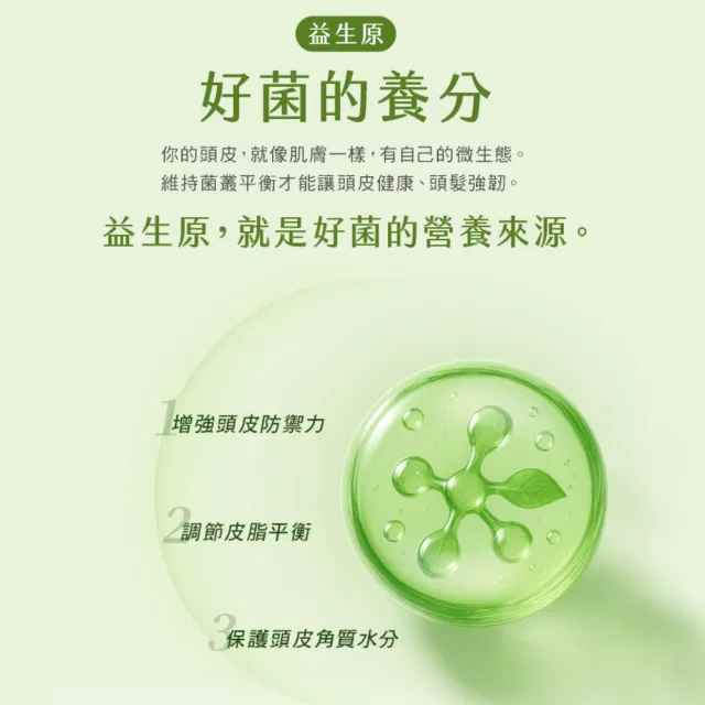 【阿原】紫草柔順洗髮露-500mL(清潔同時保養)