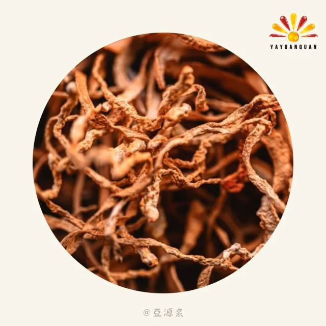 【亞源泉】北蟲草 200g/包 蟲草花 黃金蟲草 5入組(贈無花果/山苦瓜/洛神花任1包)