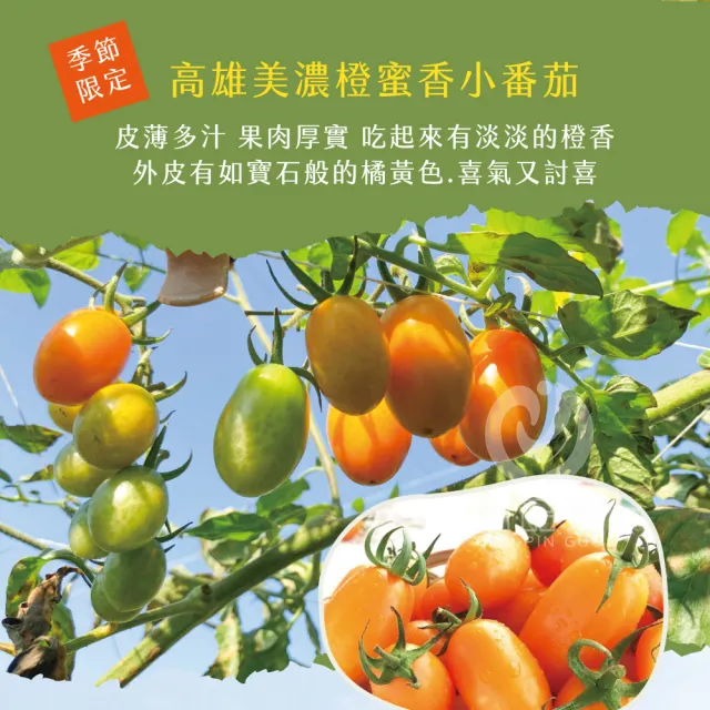 【初品果】高雄美濃達哥橙蜜香小番茄禮盒4斤x4盒(含箱重_送禮/禮盒/水果禮盒)