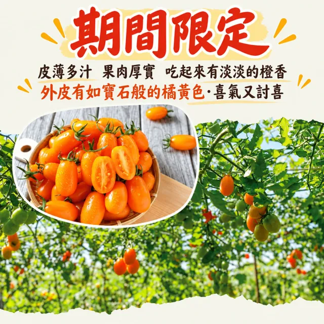 【初品果】高雄美濃達哥橙蜜香小番茄禮盒3斤x1盒(送禮/禮盒/水果禮盒_春節禮盒_產銷履歷_季節限定)