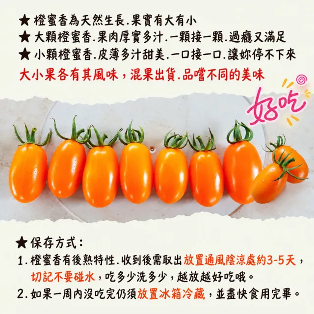 【初品果】高雄美濃達哥橙蜜香小番茄禮盒3斤x1盒(送禮/禮盒/水果禮盒_春節禮盒_產銷履歷_季節限定)