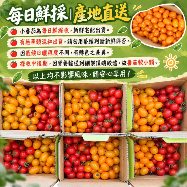 【初品果】美濃達哥雙色橙蜜香小番茄3斤x4盒(紅蜜+橙蜜金瑩_產銷履歷_送禮/禮盒/水果禮盒)